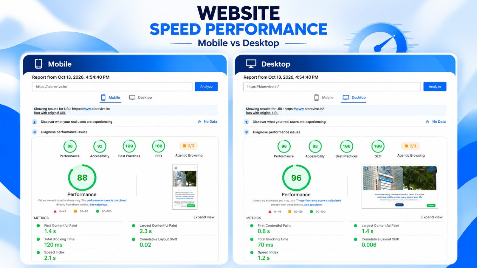 BioRevive Google PageSpeed Performance & Core Web Vitals Proof